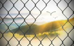 A chain link fence with a view of hills and birds in the background