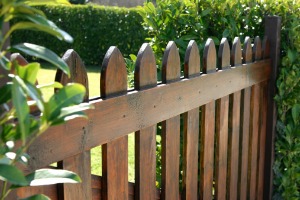 Fence in Between Hedges Installed by a Fence Company in Decatur IL