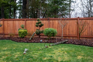 Wood Fencing Bloomington IL