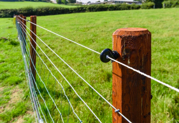 Hot Wired Fencing