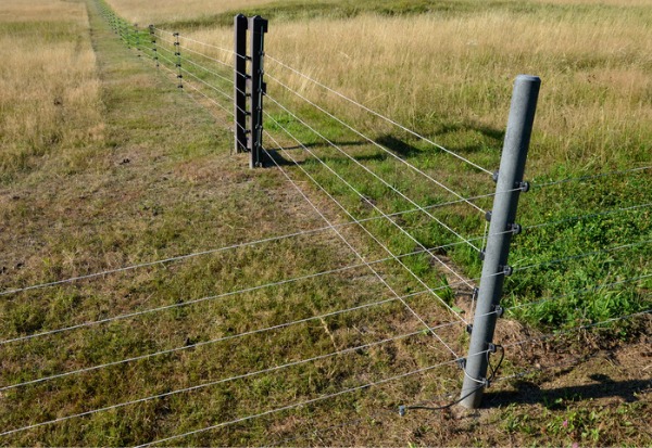 A hot-wired fence meant to protect livestock in Central Illinois