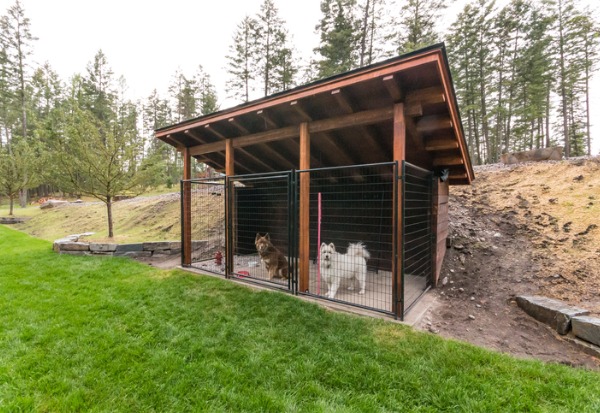 Two happy dogs outdoors in a new residential kennel, built by Hohulin Fence