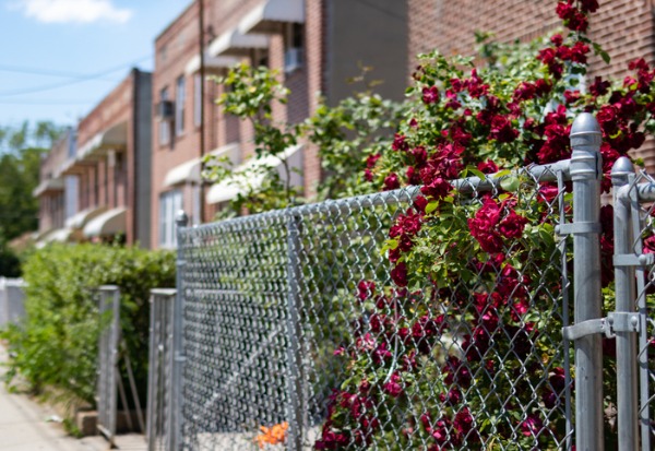 Residential Chain Link Fencing