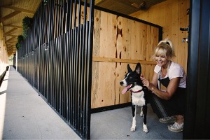 A woman taking care of a dog in commercial kennels installed by Hohulin Fence